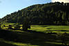 003086_Virgental Naturfoto saftige Berglandoase grne Bergwiesen und Wlder bei Obermauern
