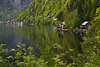 105654_Hallsttter See grne Bucht Reisefoto sterreich Alpensee Frhlingslandschaft mit Hallstatt-Blick