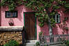 105686_ Hallstatt Bild urig schickes Haus violette Wand Grnbaum dicht wachsen an Tr