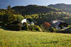 106381_ Bauernhof Dmpfe Husle Wohn-Idylle Morgenstimmung Foto Berghang-Grnwaldwiese