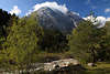 810822_ Gaistal in Tirol Berglandschaft Naturfoto, grnes Naturparadies am Gaistalbach unter Hohe Munde