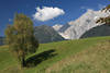 811180_ Wildermieming Plateau Berglandschaft Foto Wolke ber Baum auf grner Wiese vor Felsmassiv