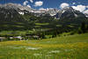 Scheffau in Bergkulisse Wilder-Kaiser  Alpen-Frhling Landschaft Foto ber Brbichl gelb-wei Blumenwiese
