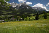 Scheffau Foto in Alpenlandschaft Wilder Kaiser Berge Frhling Wiesensblte Panorama Naturbild