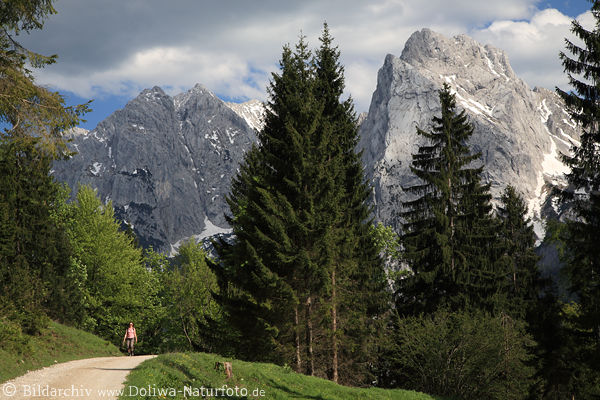 Gipfelriesen Felskulisse ber Bergweg Wanderin in Alpenlandschaft Wilder-Kaiser Naturbild