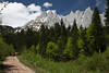 1300250_Waldweg mit Wanderer Foto unter Wilder Kaiser Berge Felsmassiv Panorama ber grne Bume