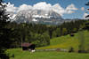 Bergalpe Naturfoto Weide Kuh Almwiese Frhling vor Kaisergebirge Alpenlandschaft Bild
