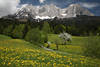 Wilder Kaiser Alpenlandschaft Naturidylle Bild Felsmassiv Wiesenblte Panorama grner Waldpfad Frhlingsfoto
