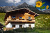 Berglandhaus Naturidylle in Alpenlandschaft Frhlingsblte