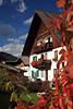 Landhaus Wilhelm in Ehrwald rote Herbstbltter Urlaubssttte Tiroler Alpen