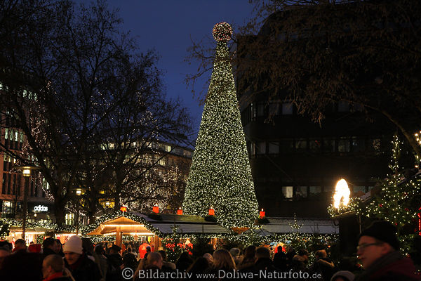 Christmas tree Hamburg advent market fir tree romantic nightly lights mood