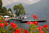Flowers coast Tremezzo on Como Lake waterscape photo Italy Alps-sea city romantic travel photography nature
