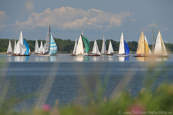 Sail water-race boats skyline over lake nature shores