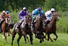 Horse-Racing, running horses in gallop-race dynamic, sportevent competition BMW Derby Meeting 2005 in Hamburg