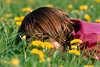 Girl in meadow blossom flowers & gras picture relax in spring, young women in sun enjoy