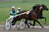 3885_Trot-race photo dynamics horses pair sprint movement picture women trotters in the intoxication of speed
