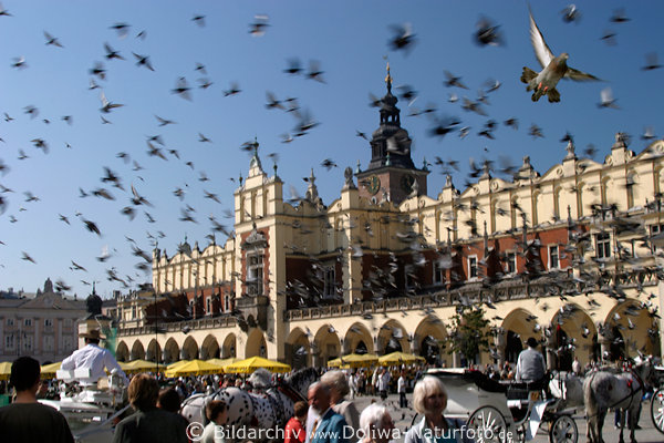 Flying pigeons of Cracow town hall city market picture with people on trade-foyer arcades