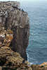 Anglers on cliffs fly fishing at rock coast of Sagres before surf at the 40 m high steeply