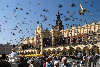 Flying pigeons of Cracow town hall city market place picture with people on trade foyer arcades