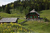 1202869_Waisacher Almwiese Frhlingsblte Foto um Berghtte in Alpenlandschaft grner Natur