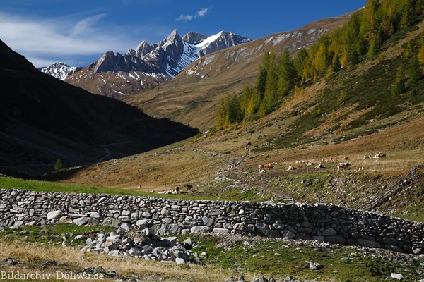 Arvental Alpengipfel Berge ber Seebachalm