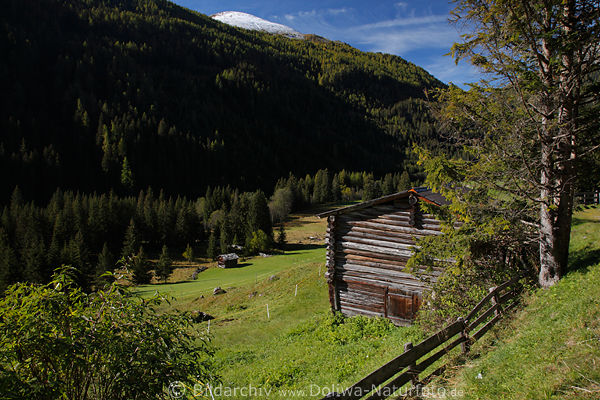 Almhtten saftige Bergwiese Defereggental Naturbild