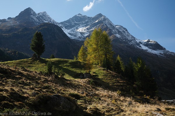 Rieserferner Berge ber Defereggental