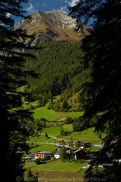 Bobojach unter Wallhorner Mhder Berg