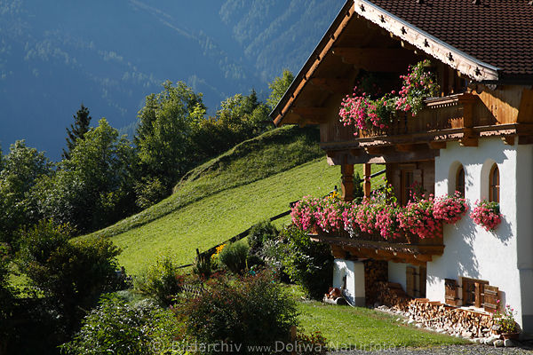 Berg-Gasthaus mit Balkonblumen saftige Hangwiese Naturidylle Alpendorf Virgen