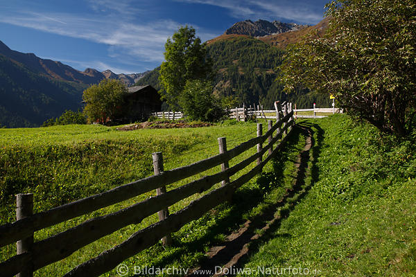 Alm Holzzaun Feldflur grne Alpenwiese 