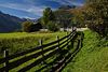 003176_Virgental Naturfoto Alm Holzzaun Feldflur grne Alpenwiese