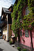 105687_Hallstatt urige & bunte Brgerhuser holziges Dekor an Hauswnden flach bewachsen mit Baumbltter dicht wachsen in engen Gassen Foto
