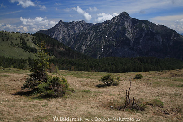 Postalm karge Landschaft Hochebene unter Gipfeln der Alpen