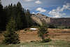 Hochebene Postalm Alpenlandschaft Naturidylle Bild Berge & Bume in Sonne