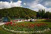 106245_Strobl schner Seeufer Blumenrabatte Foto am Wolfgangsee unter Brglstein in Salzkammergut