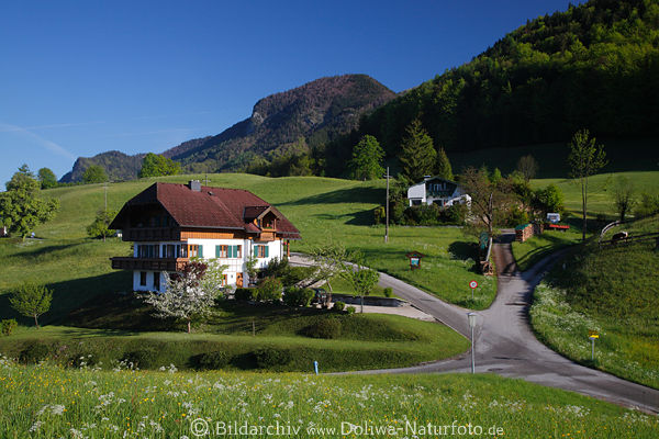 Bergland Huser Landschaft grne Wohn-Idylle ber Wolfgangsee