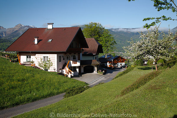 Wohnhaus Landidylle grner Frhling Landschaft Apfelblte