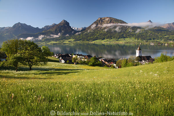 Wolfgangsee Wiesenblte Panorama Berge Wasser Landschaft Naturidylle