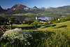 106344_Grne Frhlingswiesen ber Wolfgangsee malerisches Naturfoto Reise in Bltezeit mit Bergseeblick