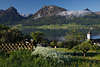 106346_Frhlingsnebel am Wolfgangsee Foto Wiesenblte ber malerischen St. Wolfgang mit Bergblick