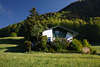 106378_Wohnhaus Idylle unter grnem Bergwald Grnbumen & Wiese ber Wolfgangsee Foto