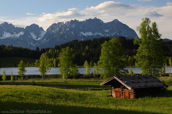 Schwarzsee Frhling NaturFoto Htte Alpenlandschaft grne Bume vor Gipfelkulisse Kaisergebirge