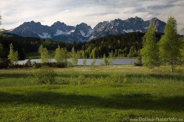 Schwarzsee Grnwiesen Naturfoto vor Bergkette Alpenlandschaft WilderKaiser Panorama
