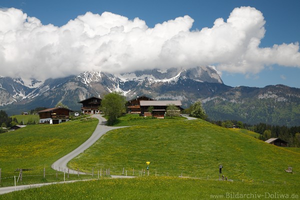Erbalpe Bauernhof Wiesen vor Bergpanorama