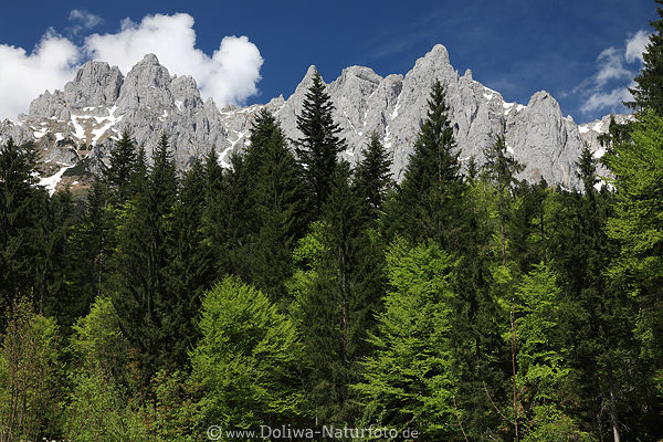 Felsgipfel ber Frhlingswald Natur-Fotodesign