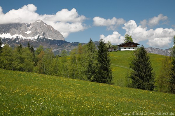 BergAlm Naturidylle Frhlingsfoto Bauernhof Blumenwiesen