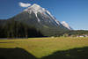 811125_ Hohe Munde Fotos, Berggipfel Duo aus Tirol Leutaschtal thronend ber Talwiesen und Weiden