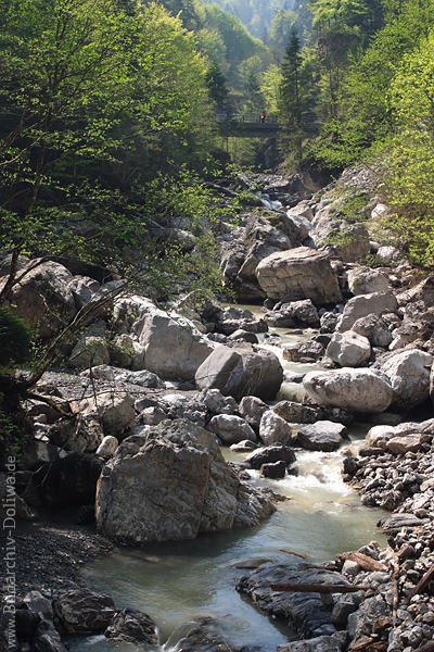 Rappenlochschlucht Wasserbach mit Felsbrocken Naturfoto Bregenzerwald Brcke in Ebnittal