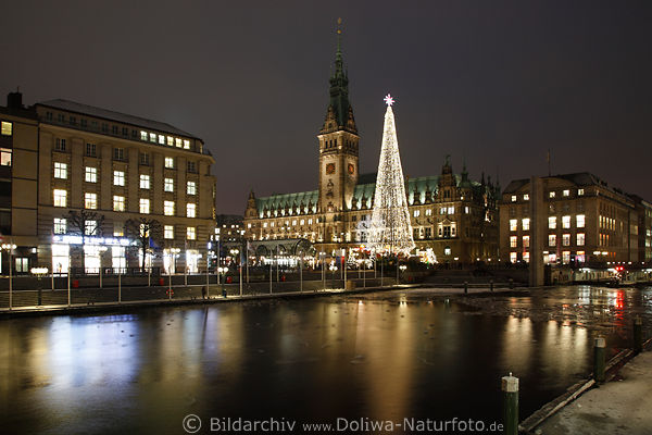 Christmas tree over small alster Hamburg hall town photo city romantic advent nightly lights