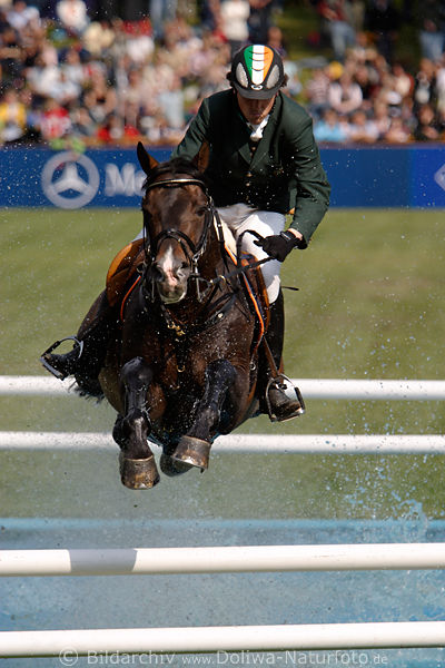 water-squirts effective jump-flight over white hurdles-poles